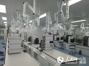 山東羅欣制藥 以創新為翼，打破國外壟斷，引領醫藥研發與國際水平同步前行